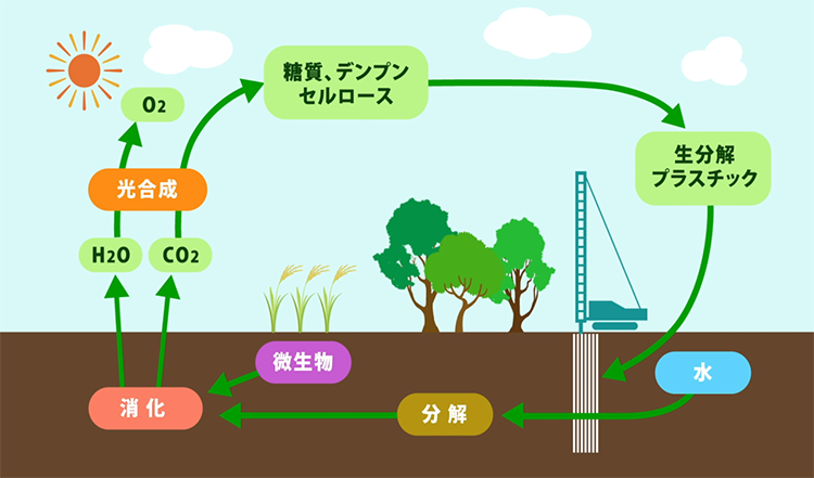 生分解性プラスチックの循環の図